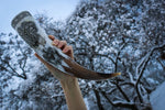 Celtic Raven - Carved Drinking Horn